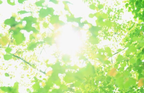 学校でほめられる 「60分で礼儀とあいさつが変わる」 キッズ空手教室